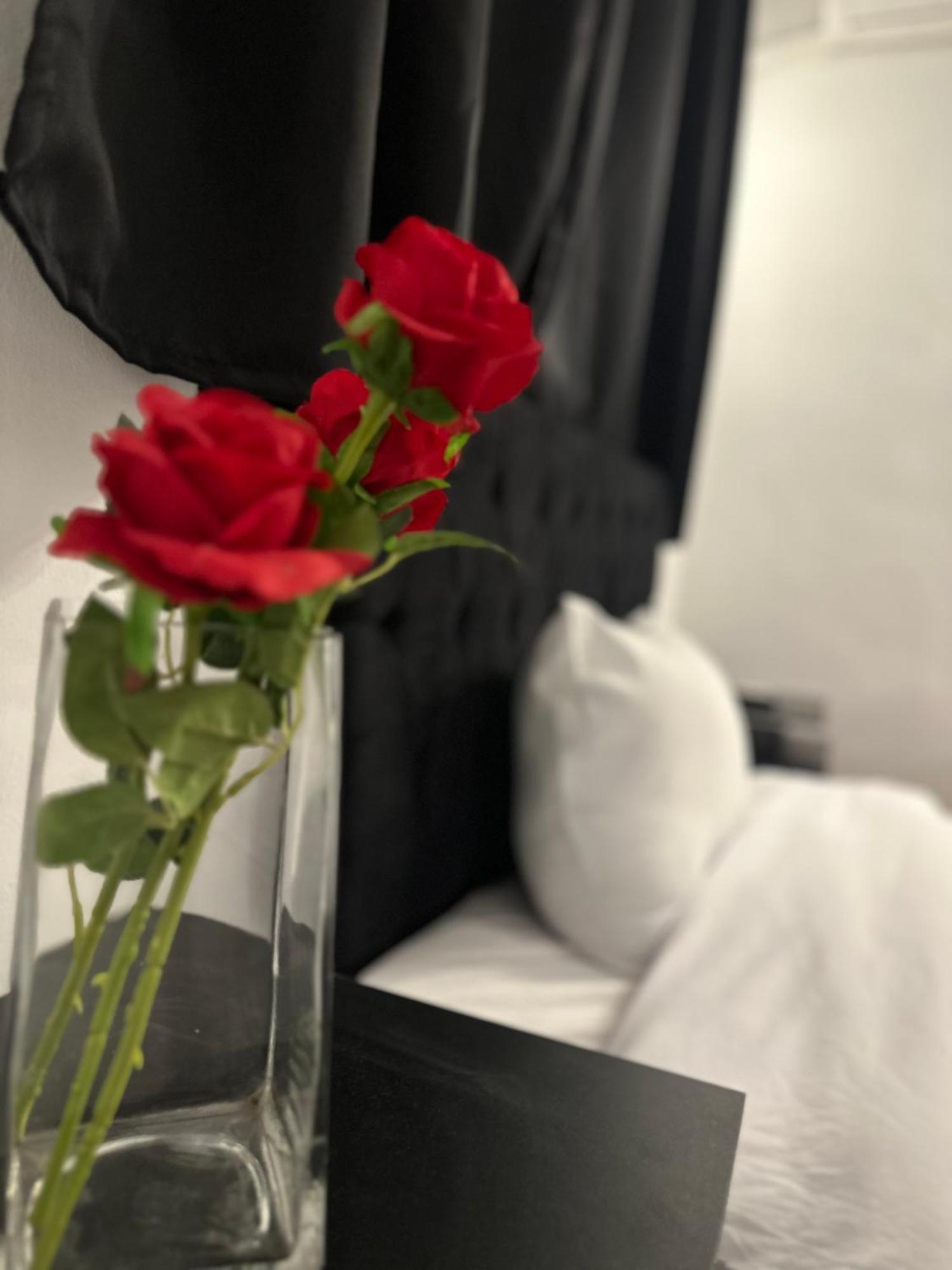 Apartamento 2 - Bedroom In The Heart Of Zamalek Visits Allowed Cairo