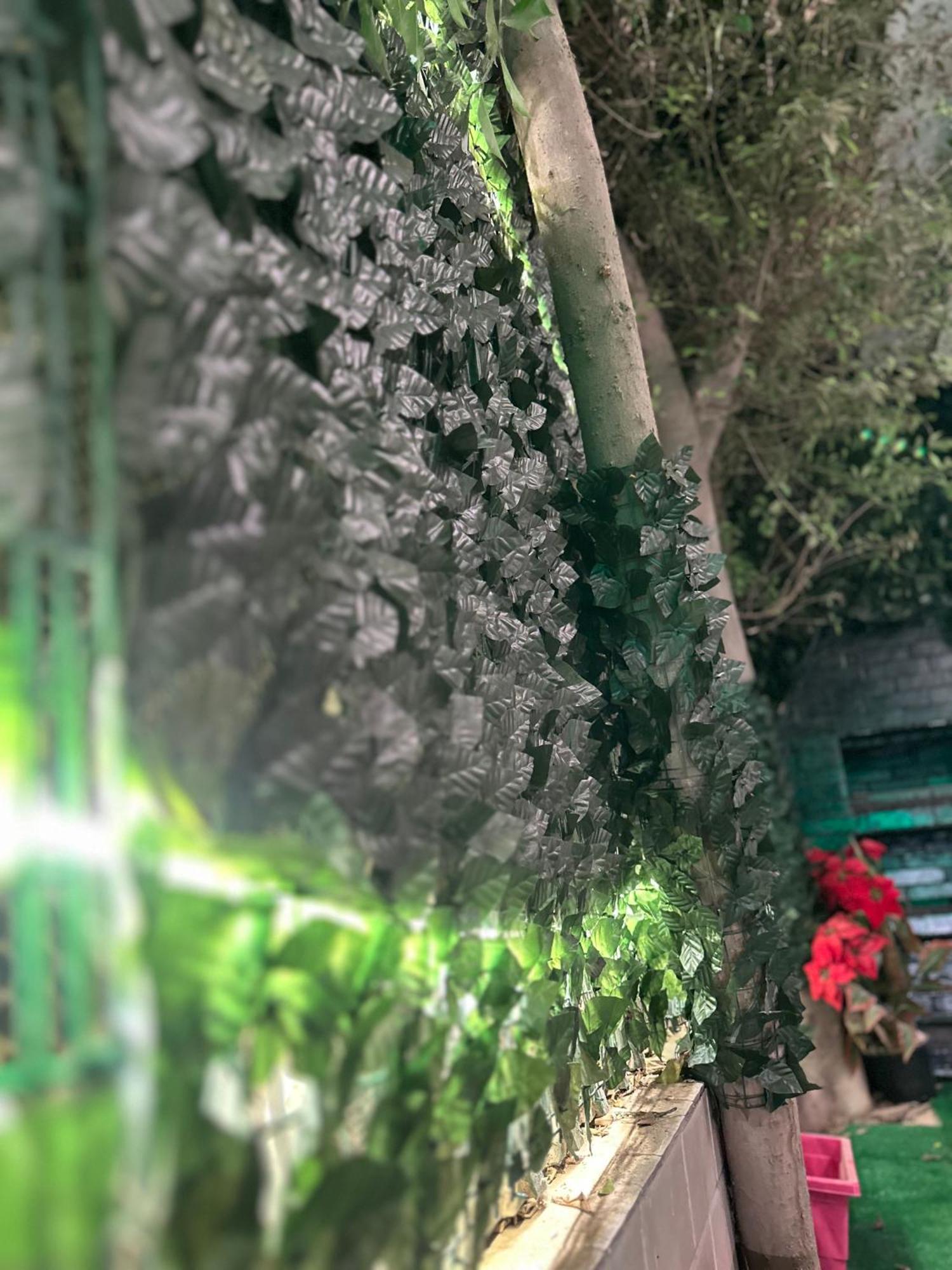 2 - Bedroom In The Heart Of Zamalek Visits Allowed Apartamento